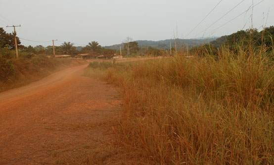 Temple Bwiti Missoko Ngonde na Dipouma